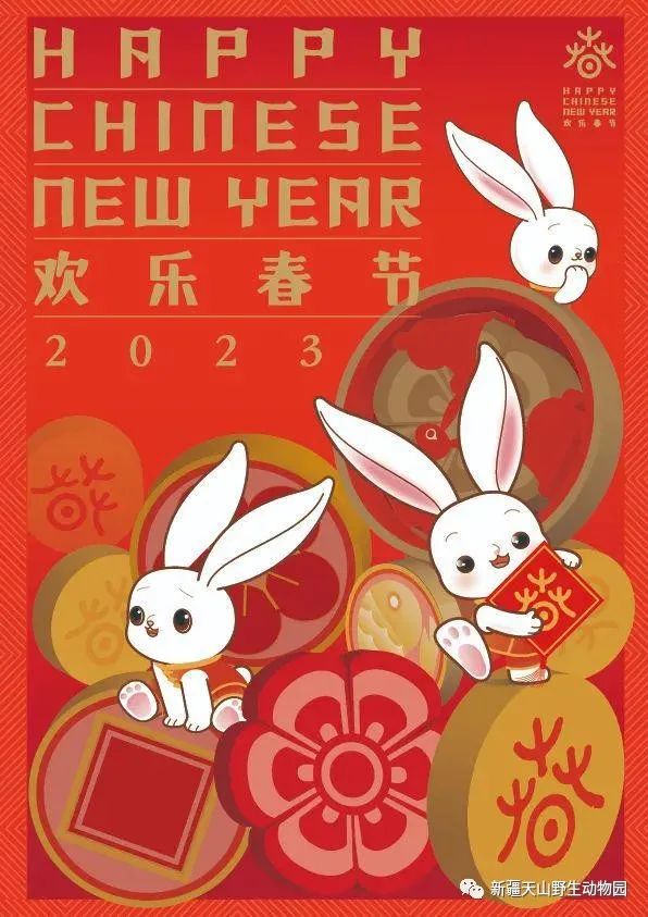 小动物给大家拜年啦！
